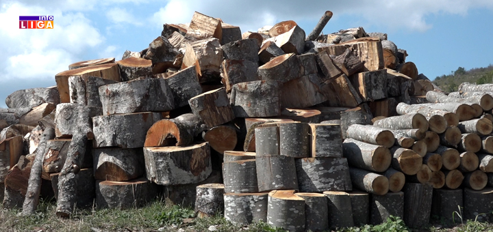 IL-drva-katici- Ivanjica: Metar drva do 55 eura, biće i skuplji jer nema ko da radi (VIDEO)