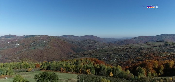 IL-Javor Ivanjica: Da vam se zaledi krv u žilama - Mirko oči u oči sa medvedom (VIDEO)