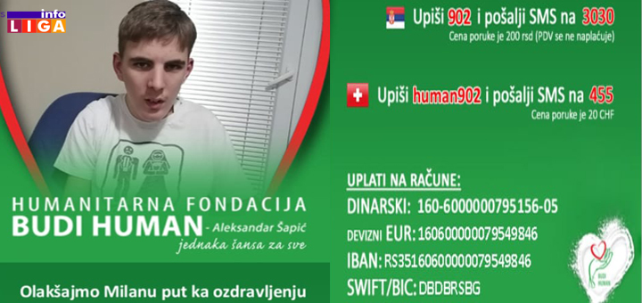 IL-Humanitarno-za-Milana Ivanjica: Ljubitelji automobila organizovali humanitarni skup za Milana (VIDEO)