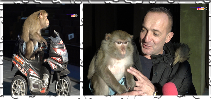 Il-Cirkus-Mickey-US-Ivanjica- Prvi put u našem gradu cirkus ''MIKIUS''- sjajna zabava za najmlađe (VIDEO)