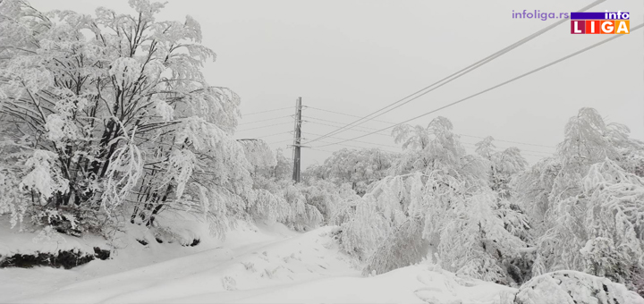 IL-Sneg-dalekovod-struja Predsednik opštine Ivanjica o situaciji sa strujom u Ivanjici (VIDEO)