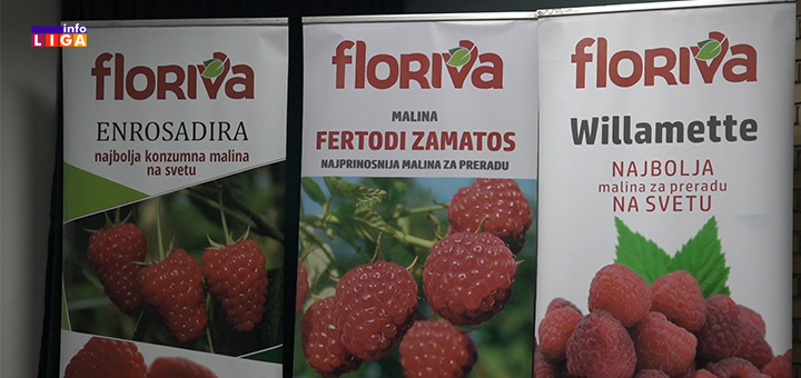 IL-Floriva-doo- Uz stručne savete do kvalitetnijeg i boljeg prinosa malina (VIDEO)