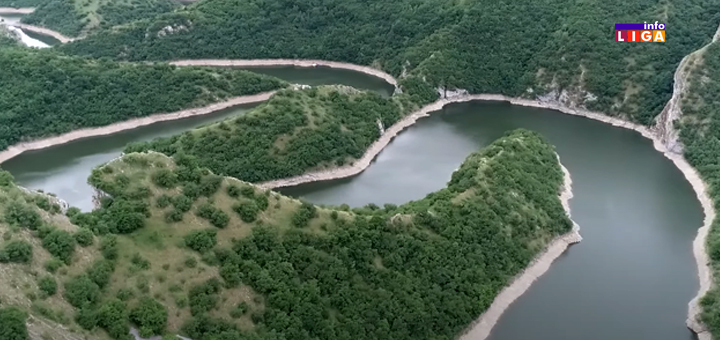 IL-Meandri-Uvca- Divlja mačka stigla u rezervat prirode