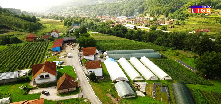 IL-Radovanovic Saznajte kako da povećate prinos maline