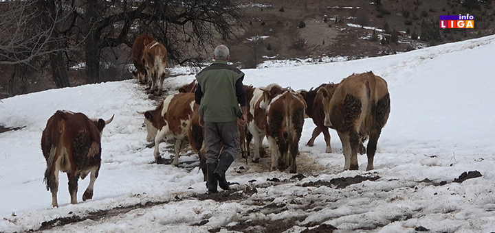 IL-Selo-Ercege-Borko-Palibrk- Nesvakidašnja priča domaćina najudaljenije kuće na teritoriji Ivanjice (VIDEO)