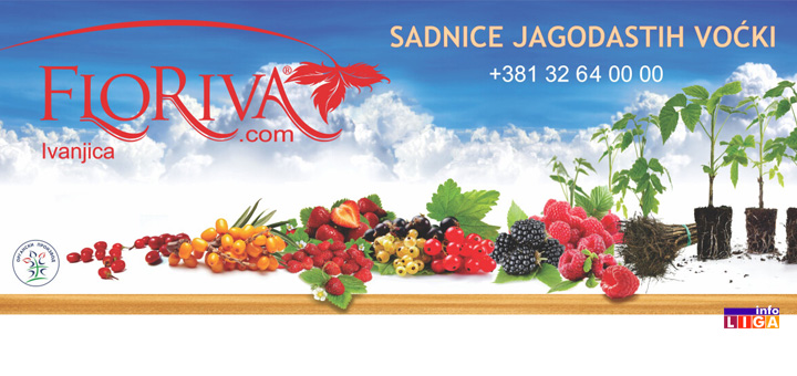 IL-floriva-sadnice Saznajte kako da povećate prinos maline