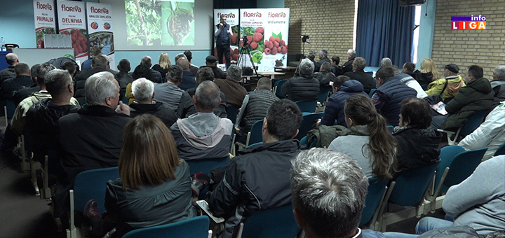 IL-plava-sala-floriva-doo- Uz stručne savete do kvalitetnijeg i boljeg prinosa malina (VIDEO)