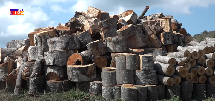 IL-gotovljenje-drva-2 Ivanjičanin teško povređen - obrušili se trupci na njega