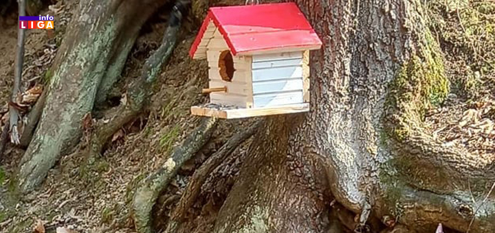 IL-kucica-na-drvetu Mališani iz vrtića Pahuljica pokazali kako se brine o životnoj sredini