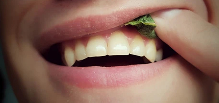 IL-SNUS-2 Da li je nova opasna moda ''snus'' stigla i u ivanjičke škole?