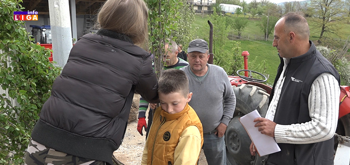 IL-sadnice-txt- Ivanjički voćari dobili  1 700 sertifikovanih sadnica  (VIDEO)