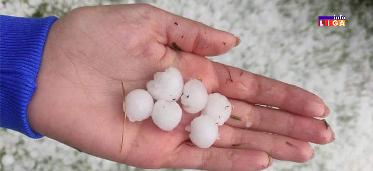 IL-Medovince-nevreme- Medovine obelele od grada (VIDEO)