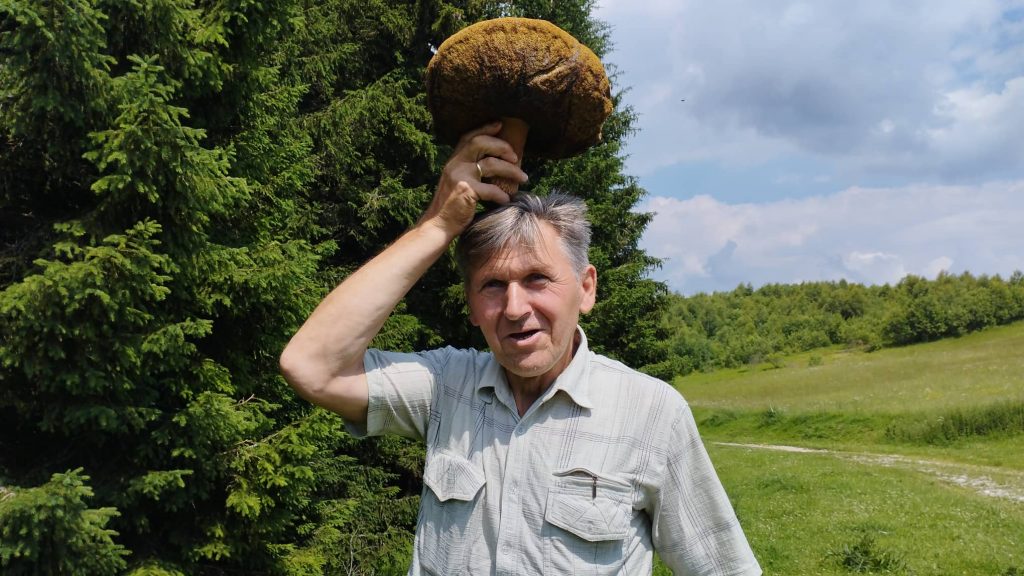 290236880_818643449114634_8177025878053399129_n-1024x576 Dragan iz Ivanjice pronašao ''džinovsku'' pečurku (VIDEO)