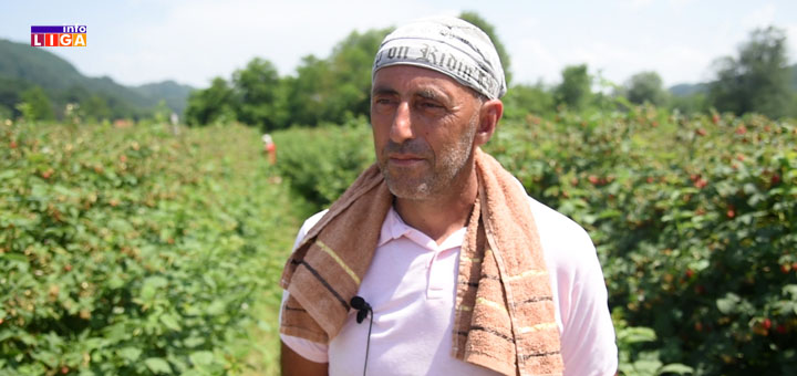 IL-Dobrivoje-Radovic- Asocijacija malinara poručuje: Izjednačite cenu otkupa ili sledi blokada hladnjača u Arilju i Ivanjici