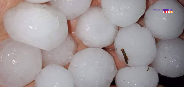 IL-grad-Kumanioca- Izgleda da će sezonski radnici ostati bez posla - grad besplatno obrao maline (VIDEO)