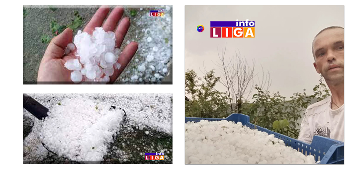 IL-grad-treci-dan- Izgleda da će sezonski radnici ostati bez posla - grad besplatno obrao maline (VIDEO)