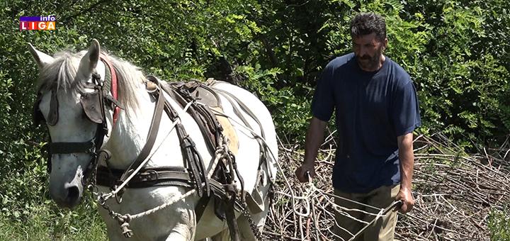 IL-rabadzijanje-naslovna- Zoran iz Ivanjice ne bi dao Bisu i Doru ni za najsavremeniji traktor (VIDEO)