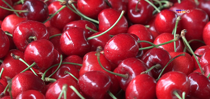 il-TRESNJE- Ivanjica: Paradajz na pijaci najskuplji, domaćeg skoro da nema (VIDEO)
