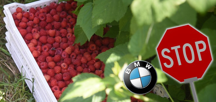 IL-maline-kradene-ilustracija-INFOLIGA- Lopovi u BMW-u pokrali maline - pokušaj bekstva zaustavila policija