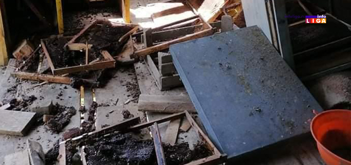 IL-Brusnik-kosnice-meda- Ivanjica: Mečka mu došla pred vrata, večerala, napravila lom i otišla (VIDEO)