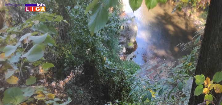 IL-Pao-niz-liticu-nesreca Drama u Ivanjici: Mladić (17) survao se niz liticu u gradskom parku