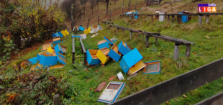 IL-Mecka-rasturile-kosnice Mečke sa Golije krenule prema Ivanjici - rasturale košnice u Međurečju