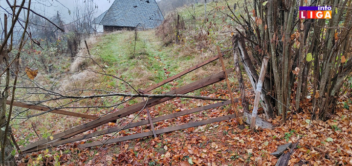 IL-Mecka-u-poseti-Medjurecje Mečke sa Golije krenule prema Ivanjici - rasturale košnice u Međurečju