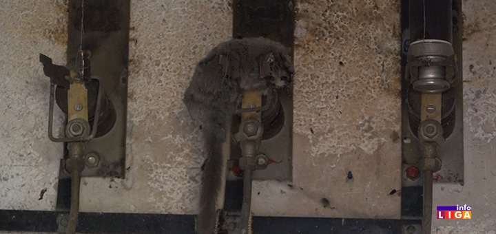 IL-puhovi- Meštani Gliječe u strahu pred predstojeću zimu - da li će biti struje? (VIDEO)