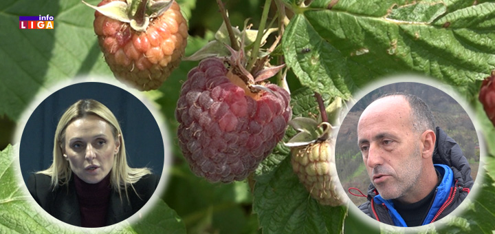 IL-tanaskovic-radovic-maline- Malinari sutra na sastanku sa ministarkom poljoprivrede (VIDEO)