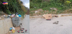 il-smece-300x142 Meštani naselja Lug pozvali nadležne da reše goruće probleme (VIDEO)