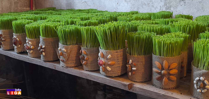 IL-Ivanj-Stisovic-1- Hobi prerastao u biznis- Ivanovi badnjaci hit na beogradskim pijacama (VIDEO)