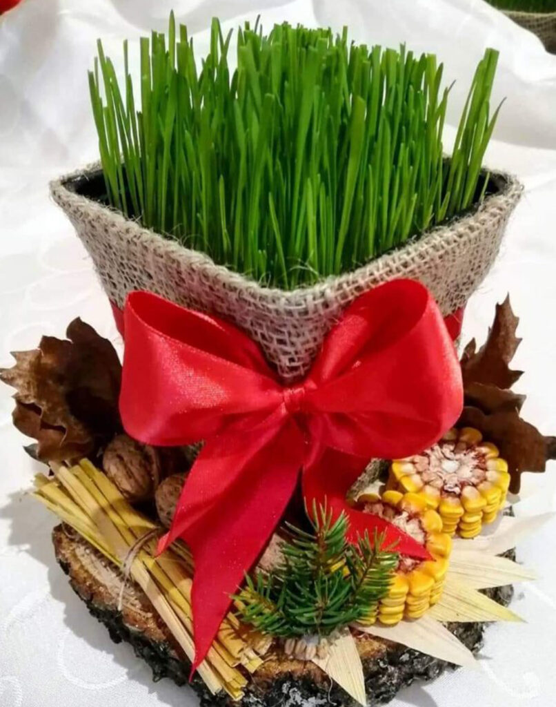 IL-Ivanj-Stisovic-2-806x1024 Hobi prerastao u biznis- Ivanovi badnjaci hit na beogradskim pijacama (VIDEO)