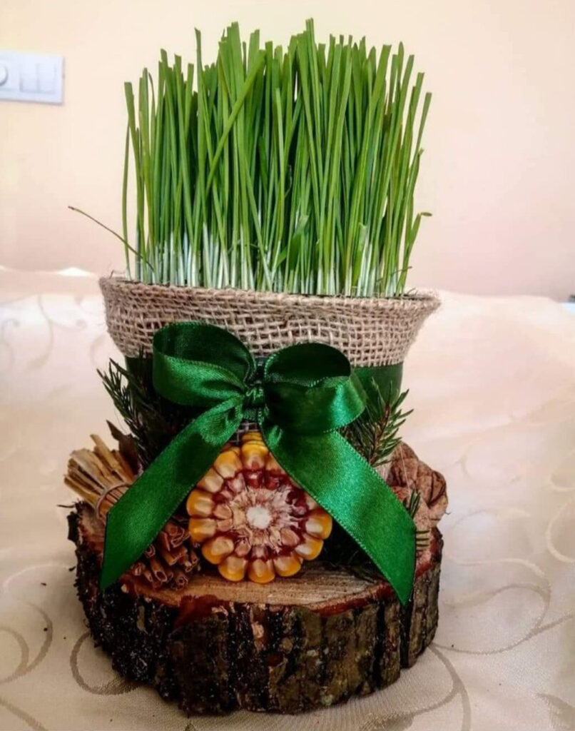 IL-Ivanj-Stisovic-3-806x1024 Hobi prerastao u biznis- Ivanovi badnjaci hit na beogradskim pijacama (VIDEO)