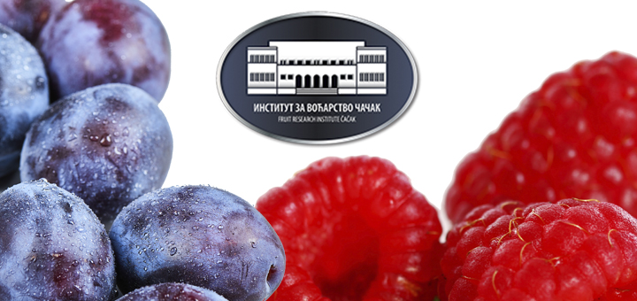 IL-institut-za-vocarstvo-cacak- U Ivanjici stručno predavanje iz oblasti gajenja maline, šljive i proizvodnje rakije