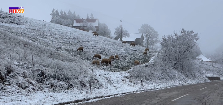 il-zima Meštani ivanjičkih sela nisu osetili prvi sneg (VIDEO)