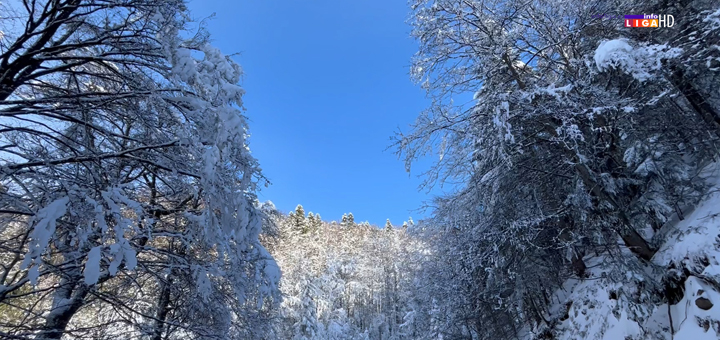 il-golija Sestre se iz velegrada vratile u selo na Goliji koje ima šest stanovnika (VIDEO)