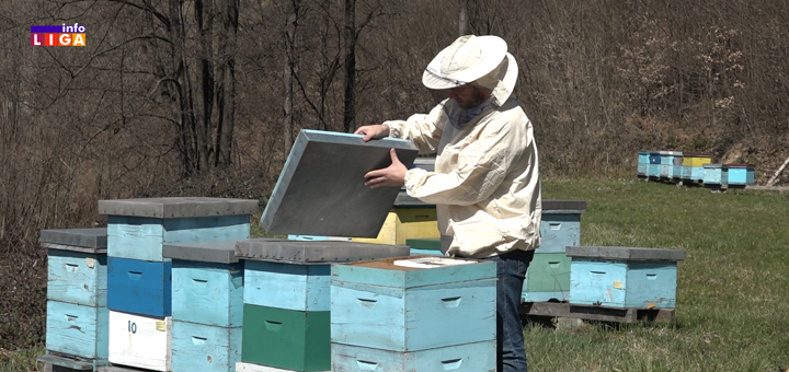 IL-Marko-Leposavic-pcelar- Konkurs Ministarstvo poljoprivrede, šumarstva i vodoprivrede za subvencije pčelarima