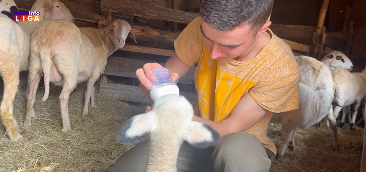 IL-Rade-Bugarcic- Deda Roćko ljubav prema rodnoj zemlji i ognjištu preneo na unuke: ''Ne bismo menjali dedovinu za fotelju nikada'' (VIDEO)