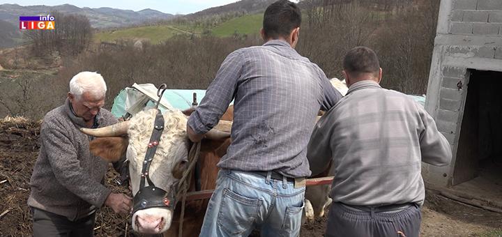 IL-Rocko-Bugarcic-i-unuci- Deda Roćko ljubav prema rodnoj zemlji i ognjištu preneo na unuke: ''Ne bismo menjali dedovinu za fotelju nikada'' (VIDEO)