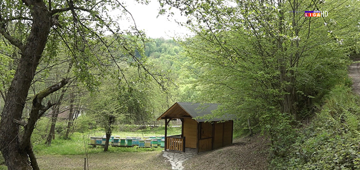 il-api-komora Najefikasniji način lečenja astme i bolesti respiratornih organa od sada i u Ivanjici (VIDEO)