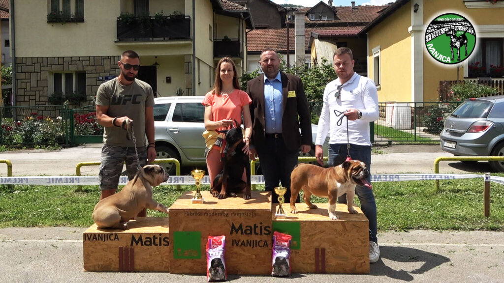 1-1024x576 Izlagači iz Srbije i regiona na XVI Specijalizovanoj izložbi pasa goniča u Ivanjici (VIDEO)