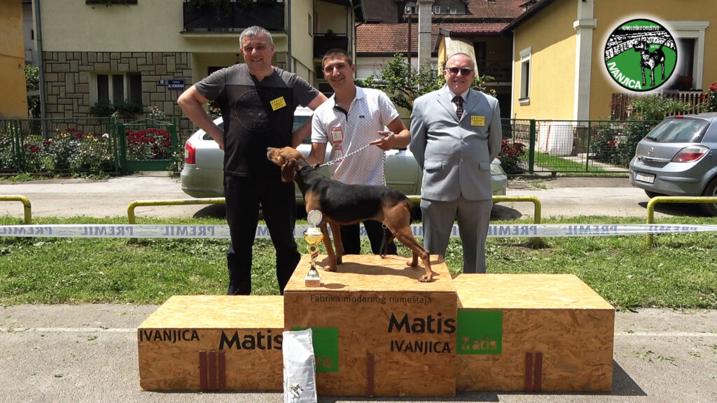 3-1024x576 Izlagači iz Srbije i regiona na XVI Specijalizovanoj izložbi pasa goniča u Ivanjici (VIDEO)