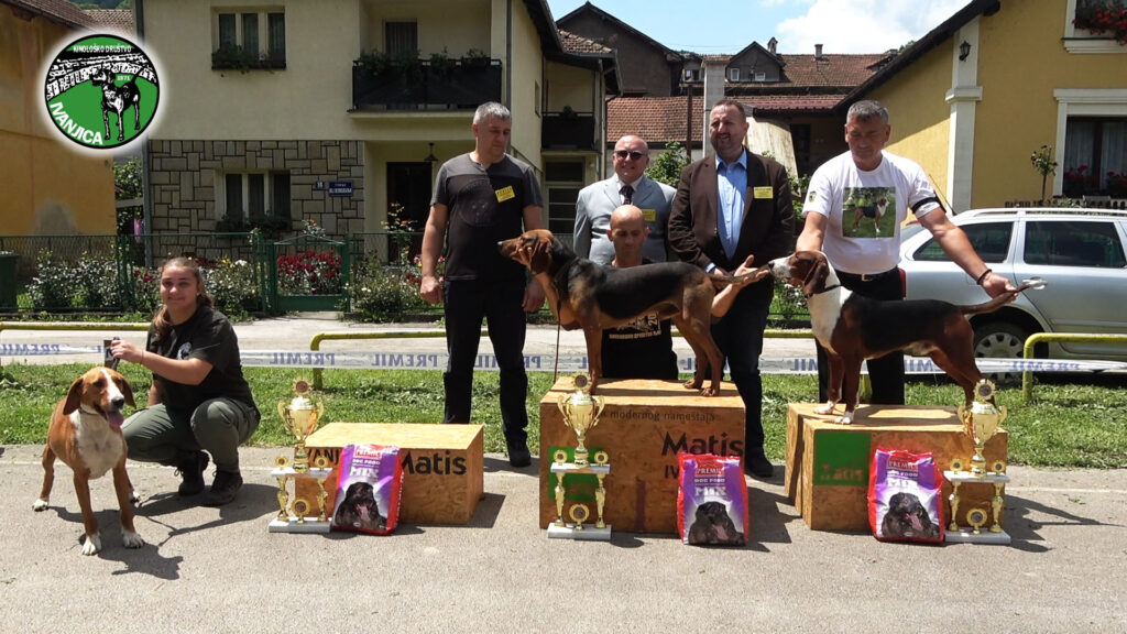 6-1024x576 Izlagači iz Srbije i regiona na XVI Specijalizovanoj izložbi pasa goniča u Ivanjici (VIDEO)