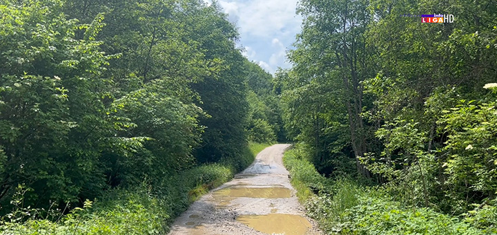 il-put-kovilje- Bez puta Bojovićima i Vasiljevićima nema opstanka na ognjištu (VIDEO)