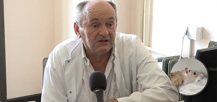 IL-Dramicanin-misija-groznica- U Ivanjici dva slučaja mišije groznice i jedan leptospiroze (VIDEO)