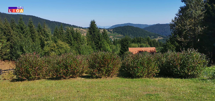 il-aronija Krađa na imanju porodice Perišić