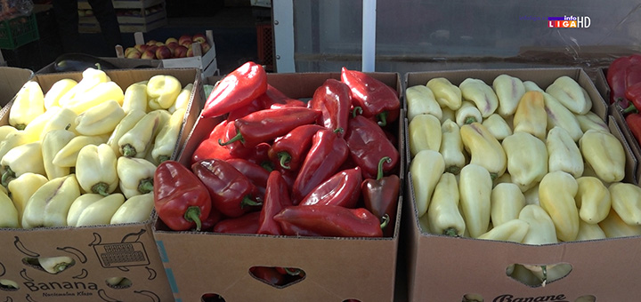 il-paprika- Zimnica će ove godine mnogima biti luksuz (VIDEO)