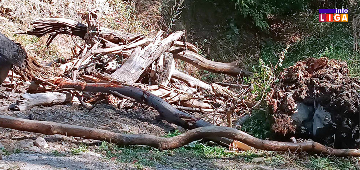 IL-Otpad-Moravica-akcija Uklonjen otpad iz korita Moravice od Vodopada do Kamenog mosta(VIDEO)