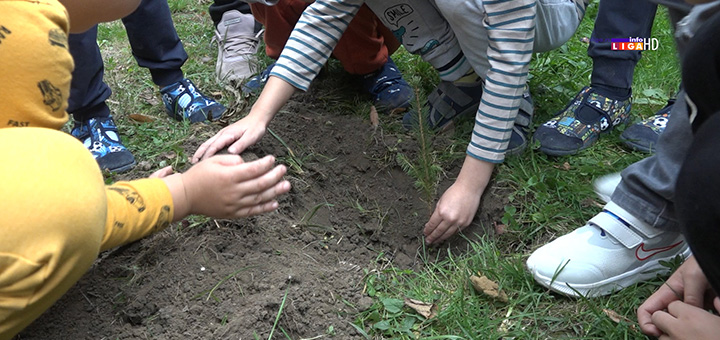 il-drvo- Najmlađi Ivanjičani u akciji pošumljavanja Golije (VIDEO)