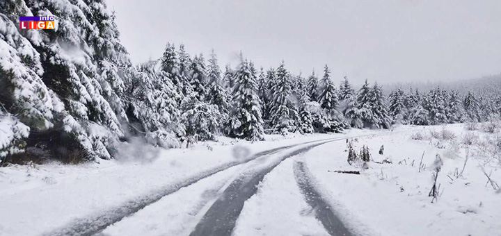 IL-Golija-put-sneg-novembar-2023-naslovna- Stigla zima - Sneg obeleo Goliju i druge planine u Srbiji (VIDEO)